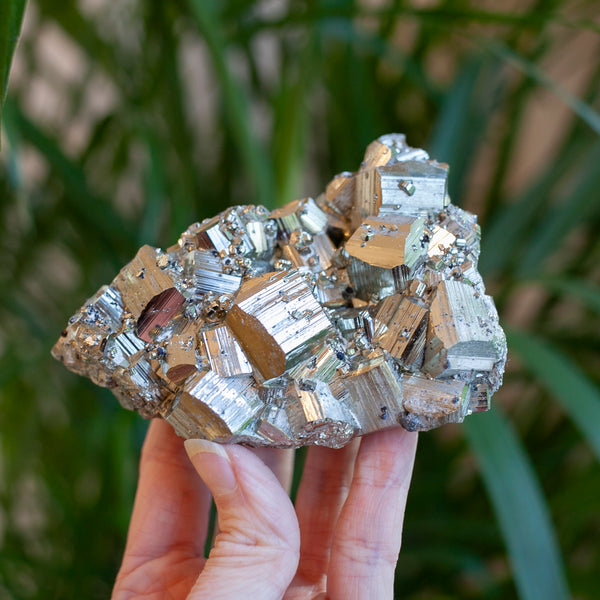 Cubic Pyrite Cluster, Peru