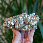 Cubic Pyrite Cluster, Peru