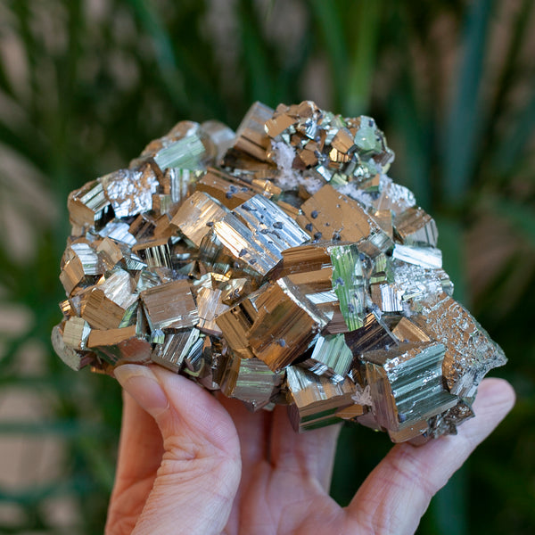 Cubic Pyrite Cluster, Peru