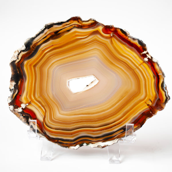 Natural Agate Slice