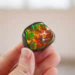 Ammolite Specimen