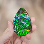 Ammolite Specimen