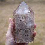 Smoky Quartz Lodolite