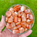 Carnelian Stone, Botswana, Small