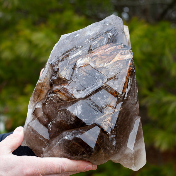 Lustrous Jacare Quartz, High Quality, 14lb!