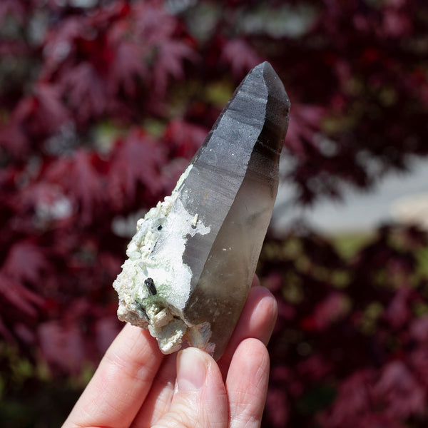 Raw Smoky Quartz Phantom Point with Tourmaline from Namibia