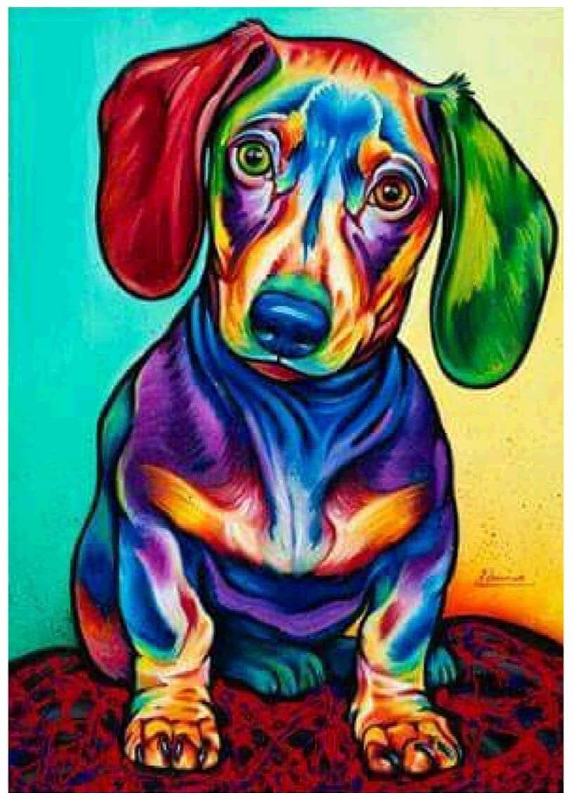Colorful Dachshund Diamond Painting Kits Full Drill – OLOEE