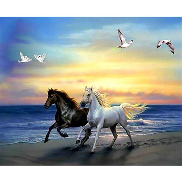 Black and White Horses | 5D Diamond Painting Kits | OLOEE