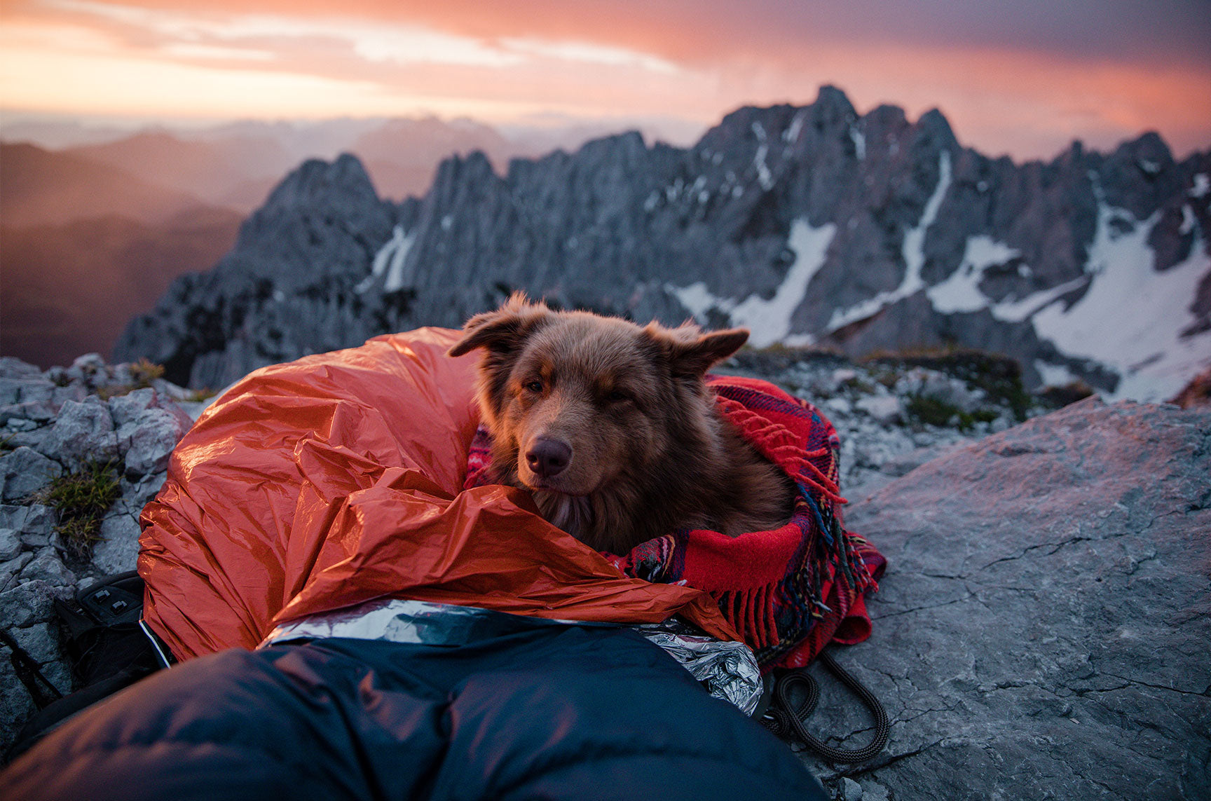 dog camping sleepingbag