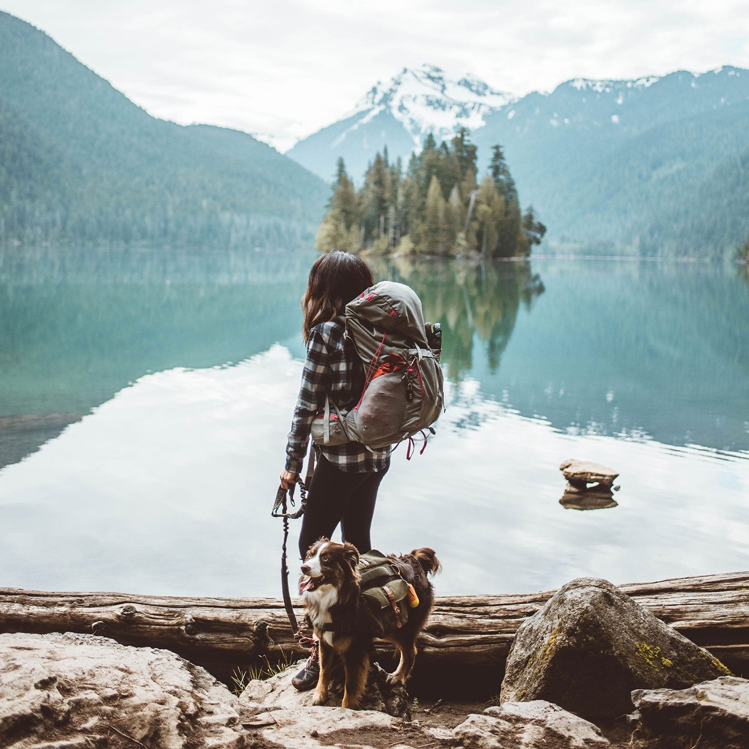 backpacking with your dog outdoors