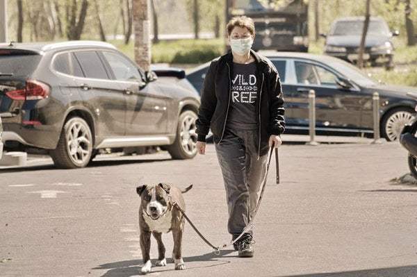 Woman walking a dog