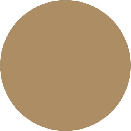 Oracal® 651™ 081 Light Brown - CraftCutterSupply.com