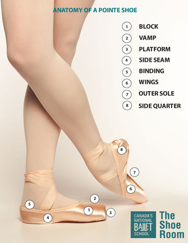Anatomy of a Pointe Shoe