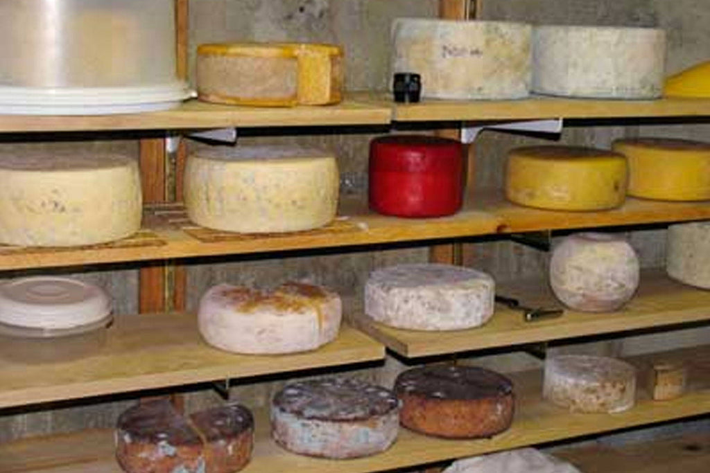 Cheese Storage Temperature Chart