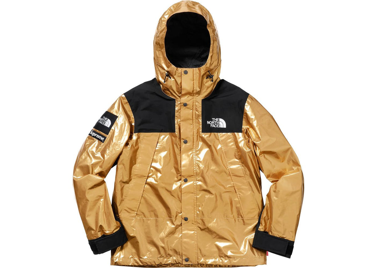 supreme north face metallic mountain parka