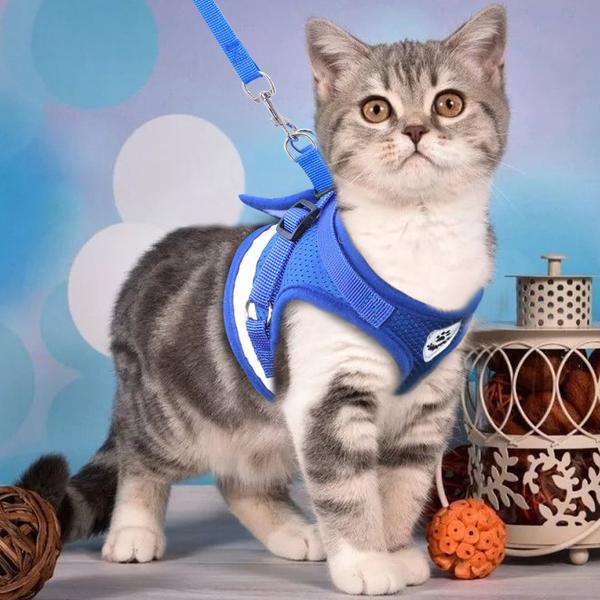 Cat Harness and Leash Set Reflective Kitten Puppy Dogs Jacket Mesh Pet Clothes For Small Dogs Pet Chihuahua Yorkies Pug - Dealstunner.com