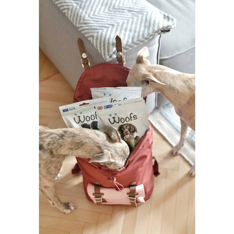 Dogs sniffing bags of WOOFS fish treats