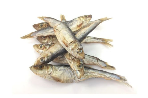dried sprats could be good for your dog's health