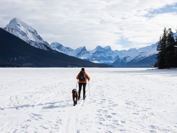 Dog walk in the snow