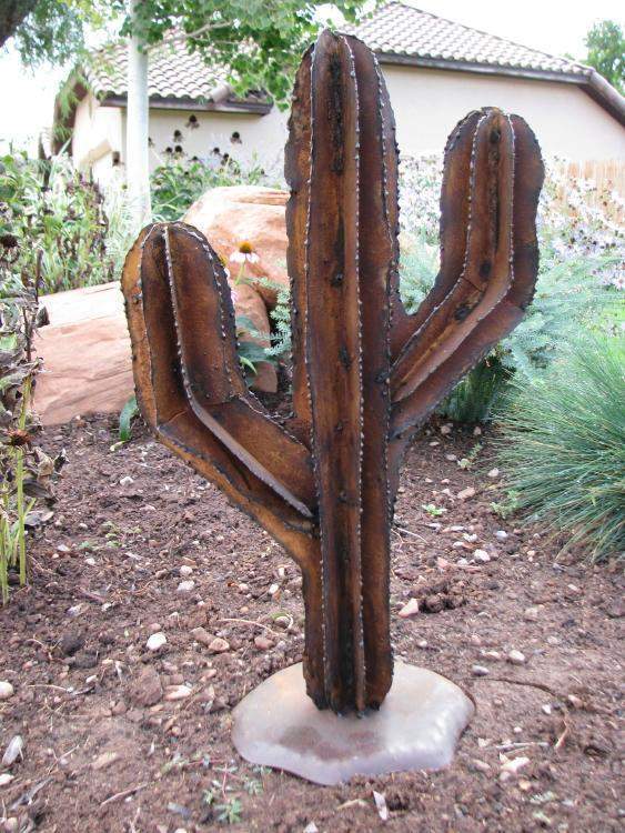 saguaro kokopelli southwest