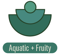 Aquatic + Fruity Fragrance Family | P.F. Candle Co. Wholesale