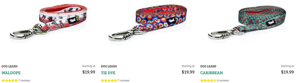 Stylish Dog Leashes at HeadyPets