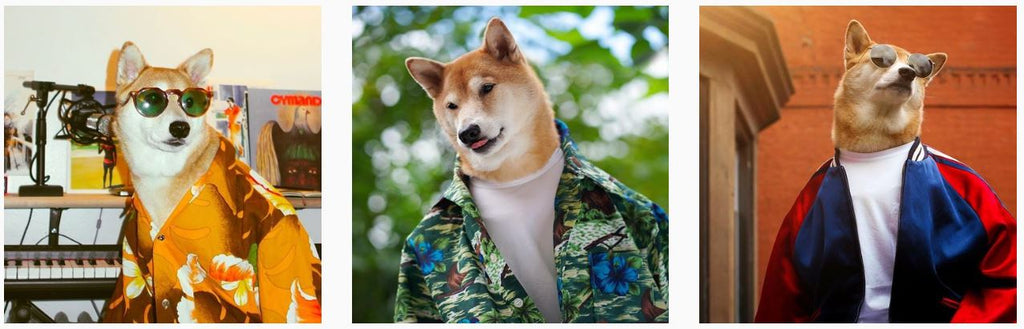 Menswear Dog - Smoke Cartel x HeadyPet - High End Dog Fashion