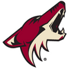 Arizona Coyotes