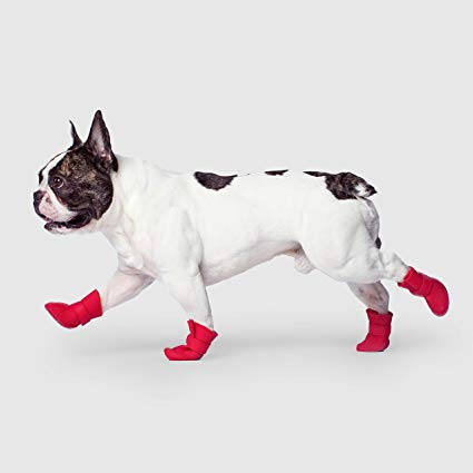 dog wellies