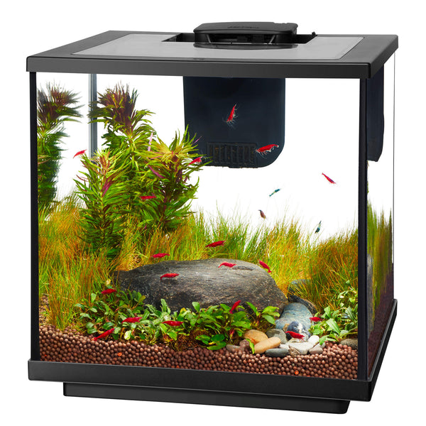 tank web Industrialiseren Aqueon 7.5G LED Shrimp Aquarium Kit – Animart Pet Stores, Inc.