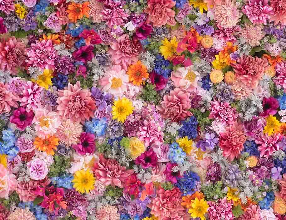 Colorful Flower Wall For Wedding Photography Backdrop J-0183 – Shopbackdrop