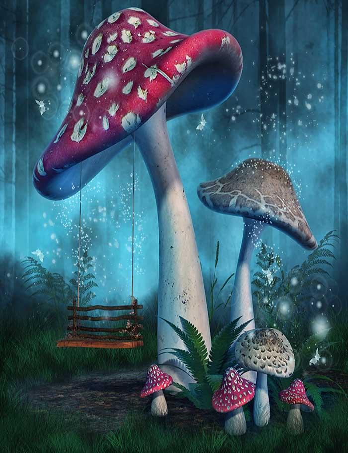 Fantasy Mushrooms With Fairy Swing In Forest Photography Backdrop J03