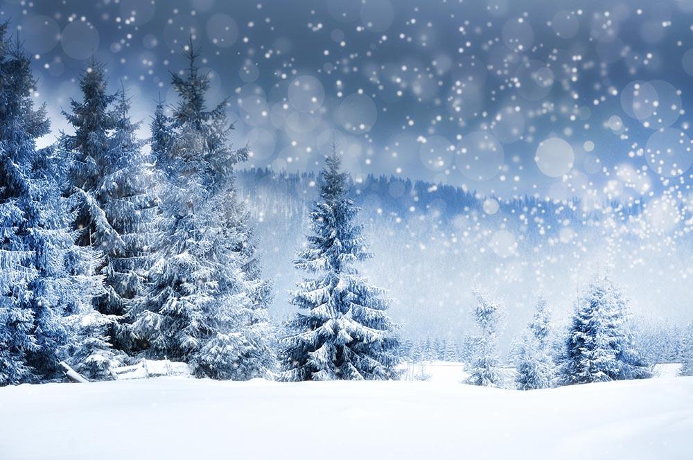 Winter Snow Covered Fir Tree Photography Backdrop N-0026 ...