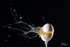 highspeed photograph of egg exploding