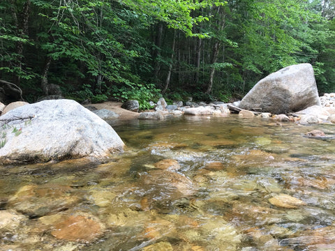 Nature - Tenkara Demo Day in The White Mountains