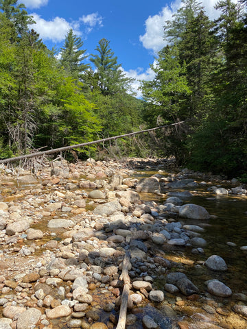 hancock branch