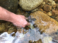 Rock - Tenkara Demo Day in The White Mountains