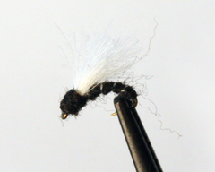 Wasp - The Wicked Pissa (3 pack)