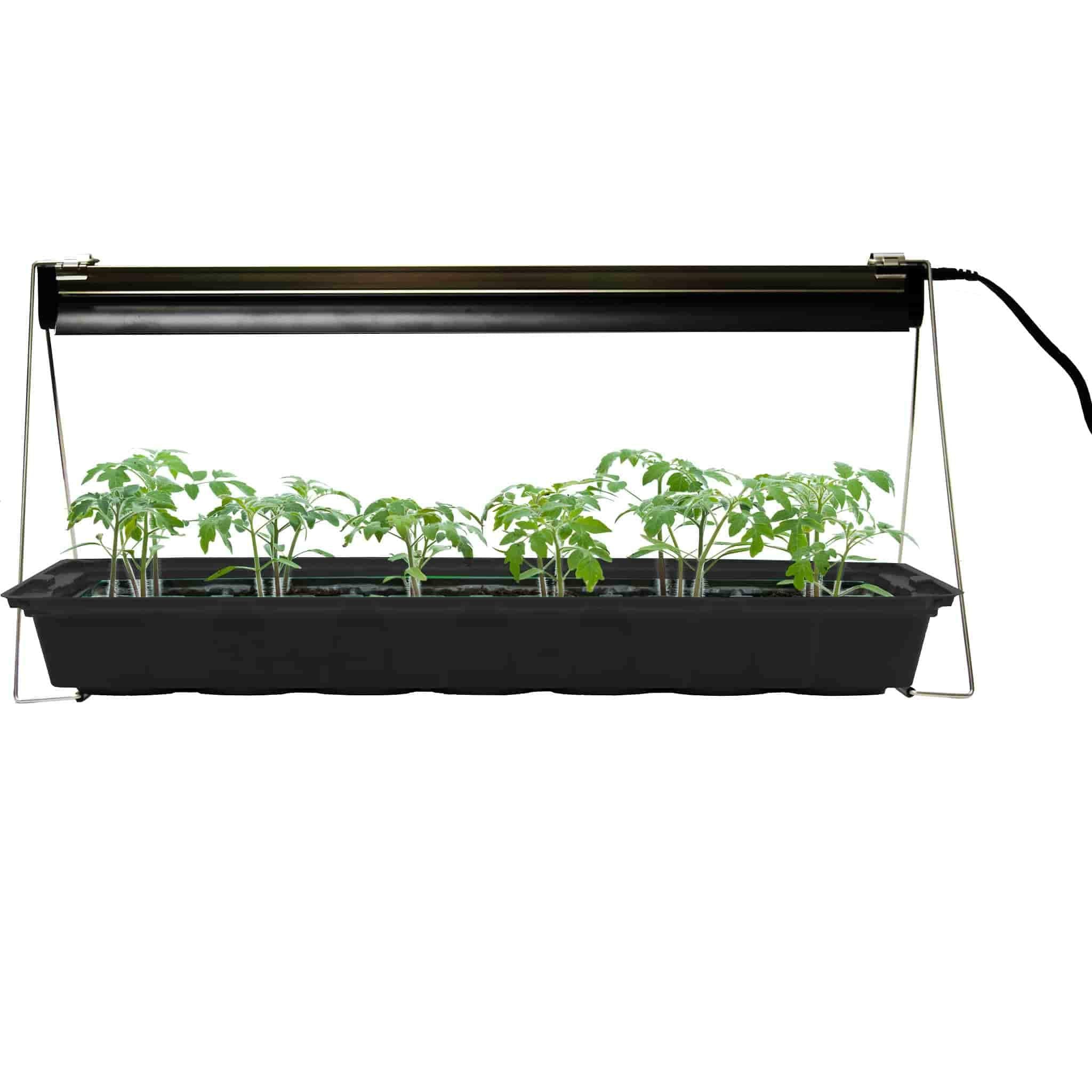 Spændende leje Violin Ferry-Morse Indoor Grow Light Fixture with T5 Bulb – Ferry-Morse Home  Gardening | Since 1856