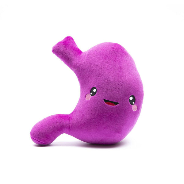 stuffed organs plush