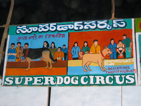 Super Dog Circus