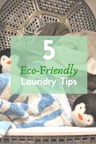 5 Eco-Friendly Laundry Tips