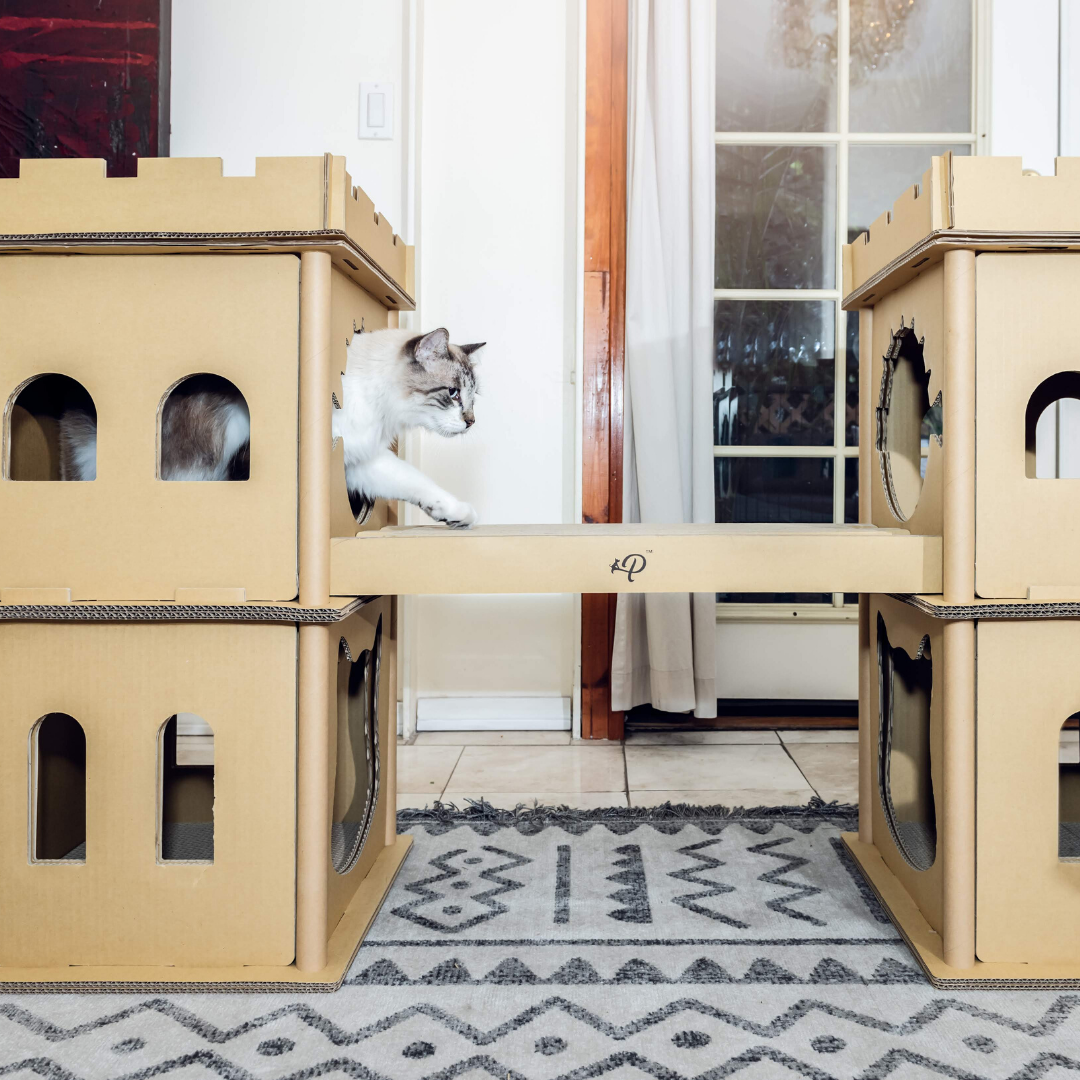 Cat Castle