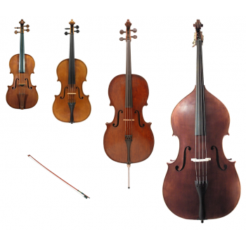 Nombrar Adecuado Destructivo Should I Learn Violin, Viola, Cello, or Double Bass?