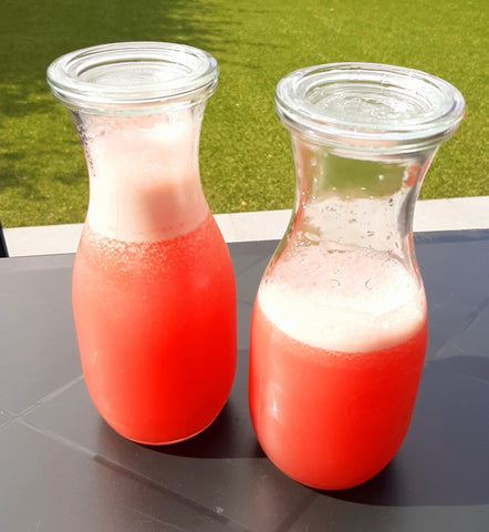 Watermeloen limonade SuperRoots Cichoreiwortelvezel