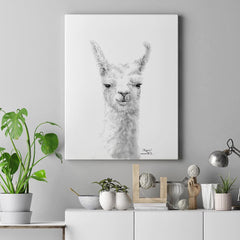 llama art canvas print