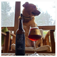 Red The Craft Beer Dog IG Post