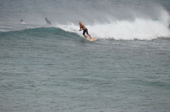 Surfer on a wave