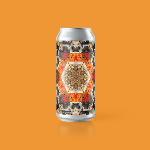 Hop Holigans Catleidoscope 2 - Hop Hooligans