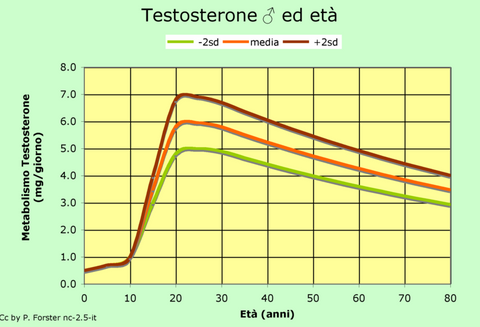 Testosterone drop after age 30